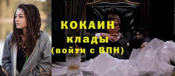 винт Абаза