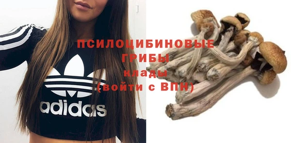 винт Абаза