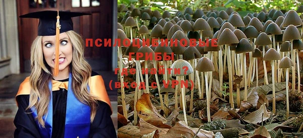 винт Абаза