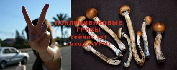 spice Абинск