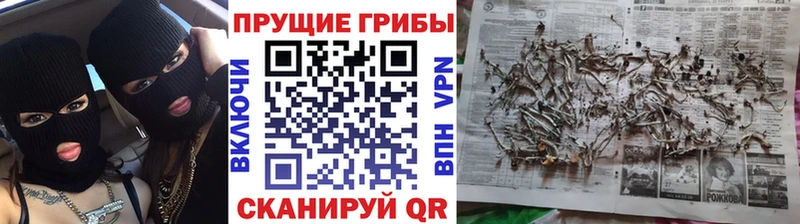 наркота  Сальск  Псилоцибиновые грибы мухоморы 